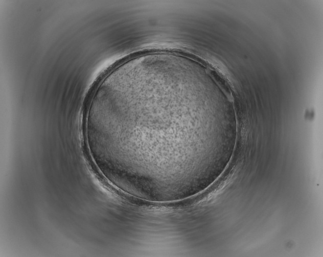 X0000090701030200708101437