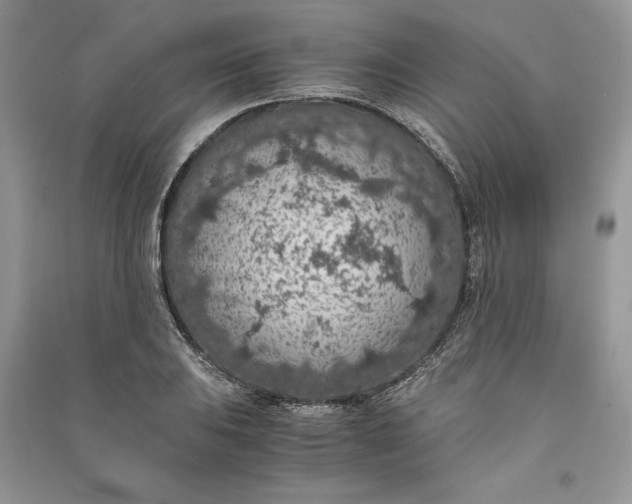 X0000090701031200708101437