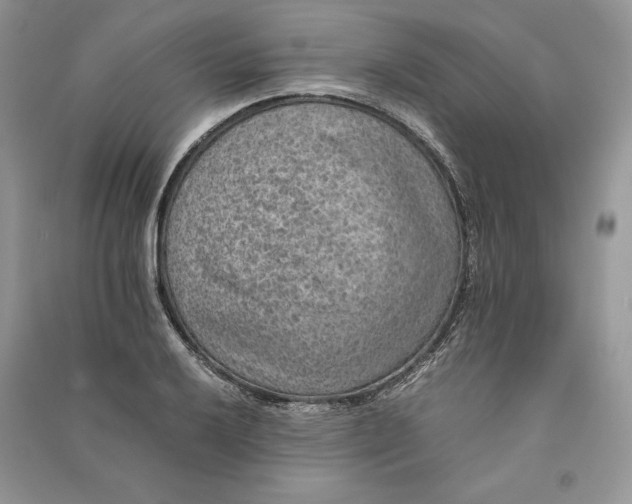 X0000090701032200708101437