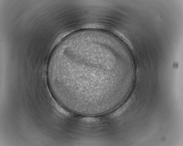 X0000090701033200708101437