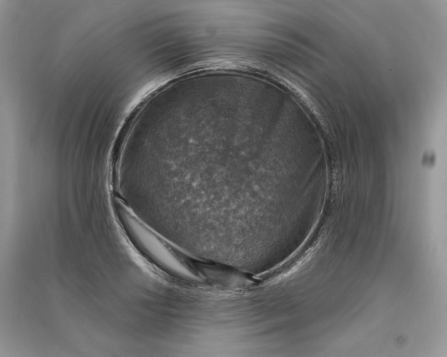 X0000090701034200708101437