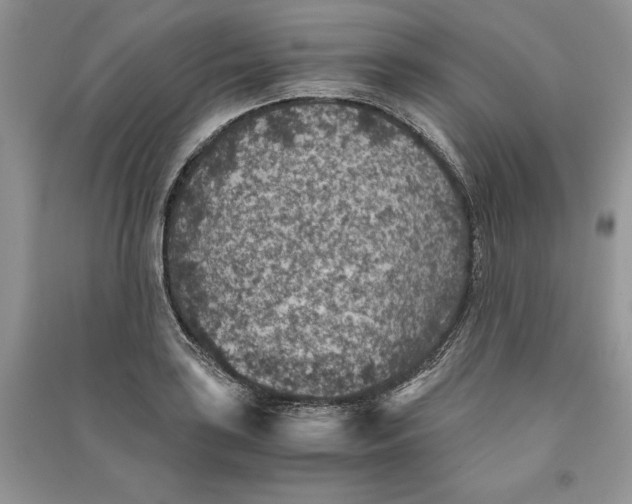 X0000090701035200708101437