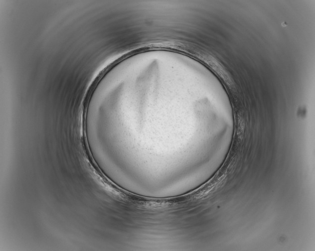 X0000090701036200708101437