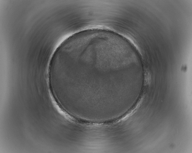 X0000090701038200708101437