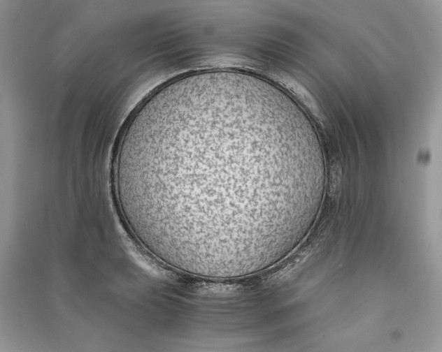 X0000090701039200708101437
