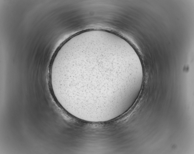 X0000090701040200708101437