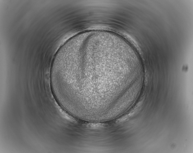 X0000090701041200708101437