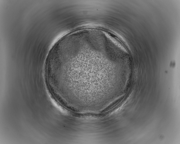 X0000090701042200708101437