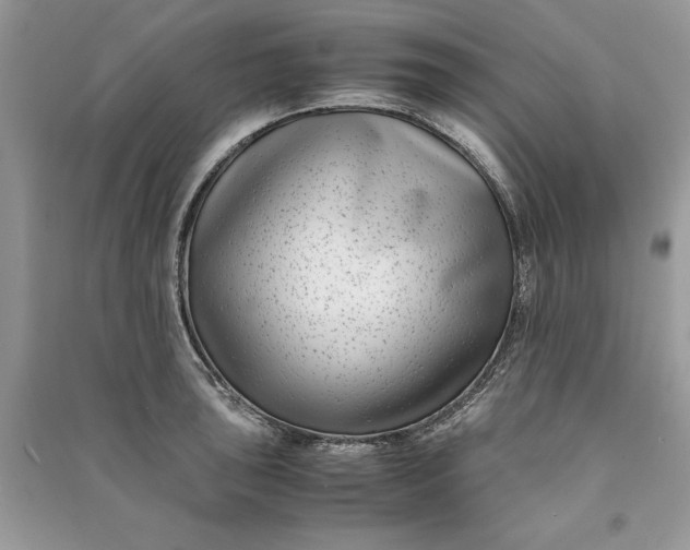 X0000090701043200708101437