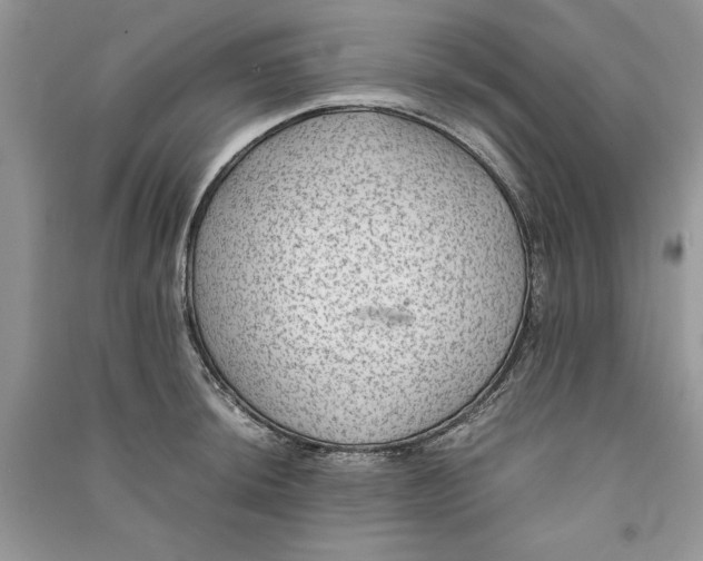 X0000090701044200708101437