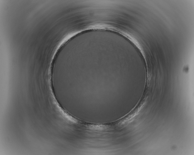 X0000090701045200708101437