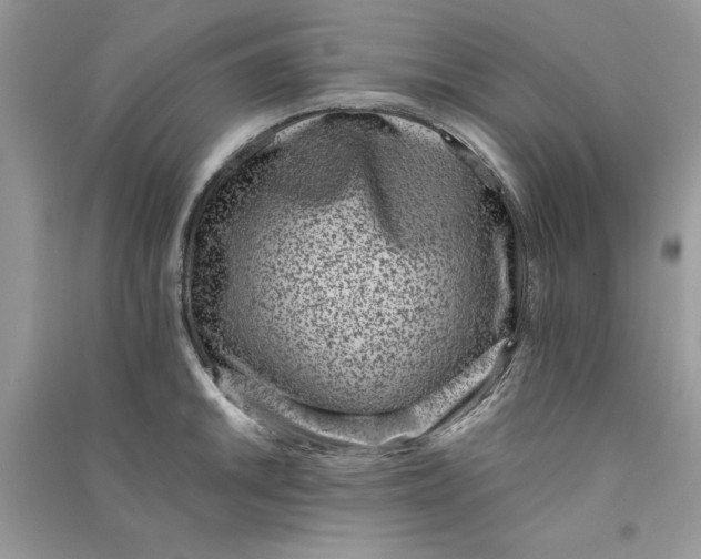 X0000090701046200708101437
