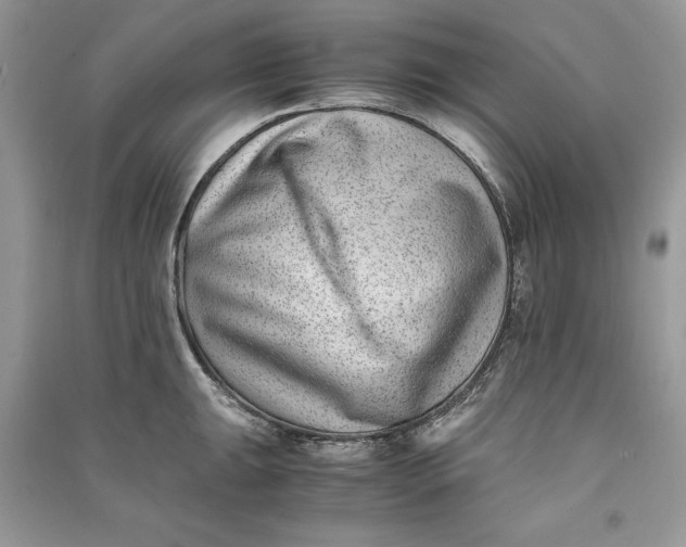 X0000090701047200708101437