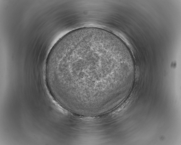 X0000090701048200708101437