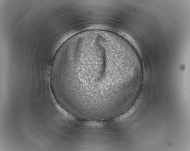 X0000090701049200708101437