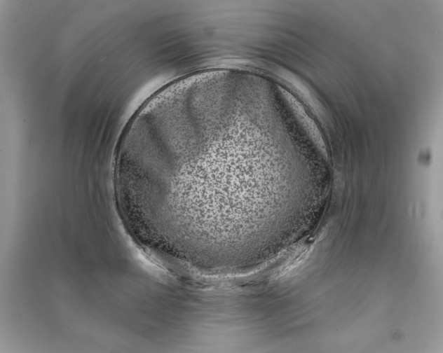 X0000090701050200708101437
