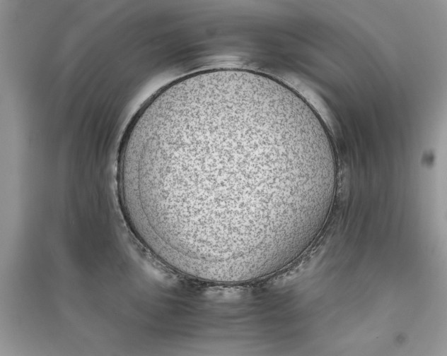 X0000090701051200708101437