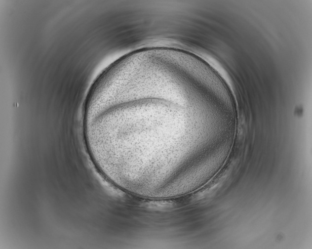 X0000090701053200708101437