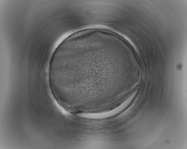 X0000090701054200708101437