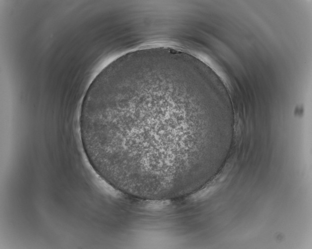X0000090701055200708101437