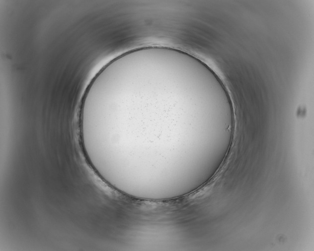 X0000090701056200708101437