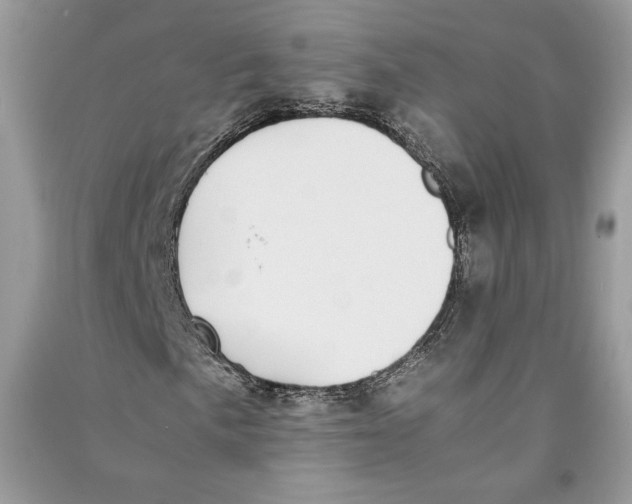 X0000090701057200708101437