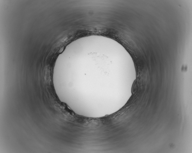 X0000090701058200708101437