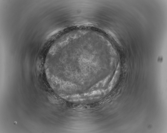 X0000090701063200708101437