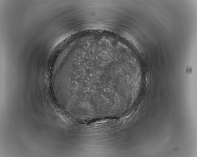 X0000090701064200708101437