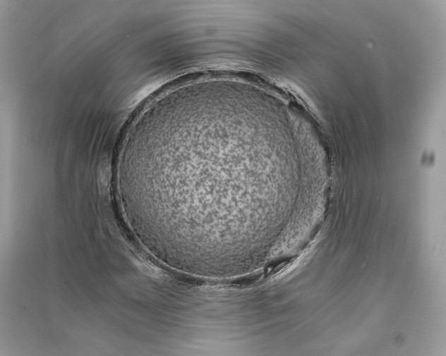 X0000090701065200708101437