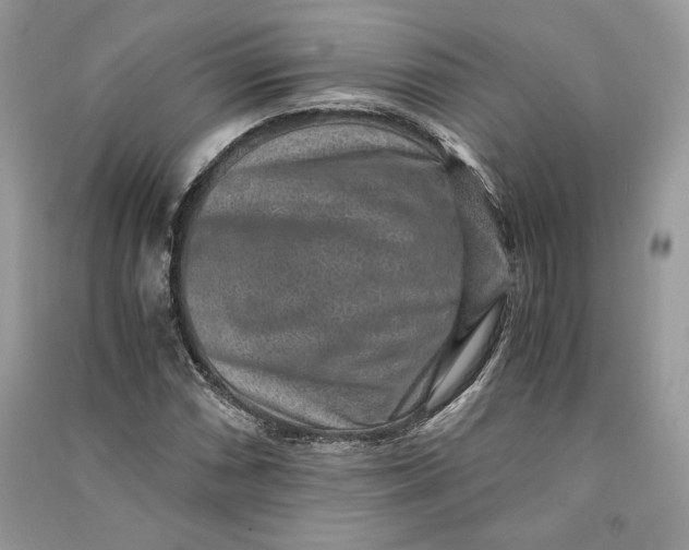 X0000090701066200708101437