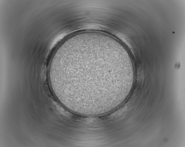 X0000090701067200708101437