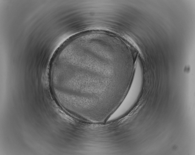 X0000090701068200708101437