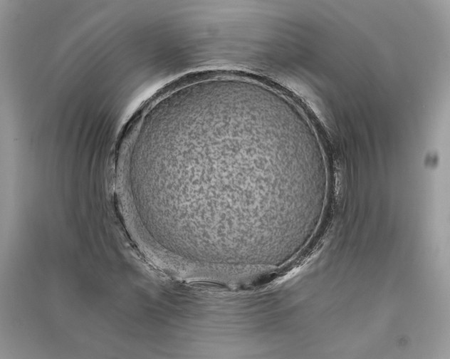 X0000090701069200708101437
