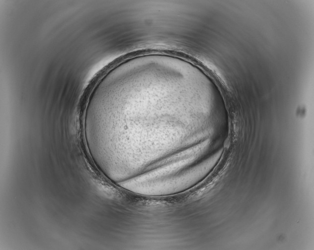 X0000090701070200708101437