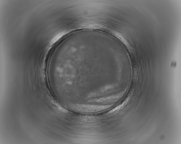 X0000090701071200708101437