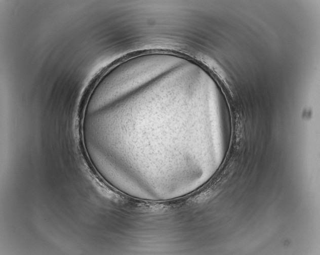 X0000090701072200708101437