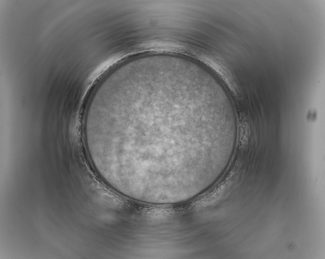 X0000090701074200708101437