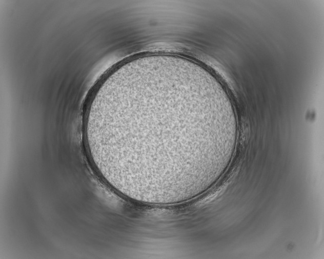 X0000090701075200708101437
