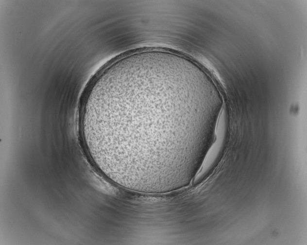 X0000090701076200708101437