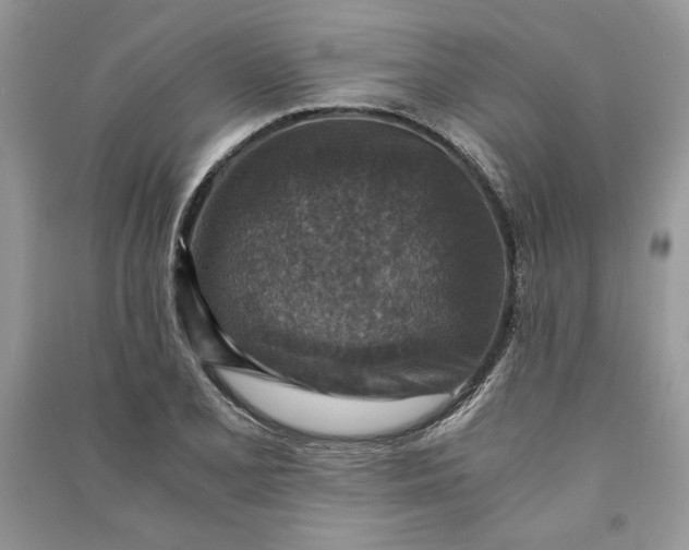 X0000090701077200708101437