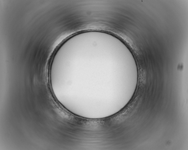 X0000090701078200708101437