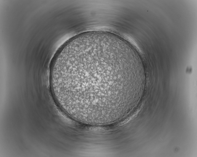 X0000090701079200708101437