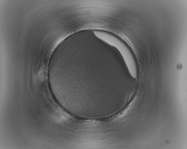 X0000090701081200708101437