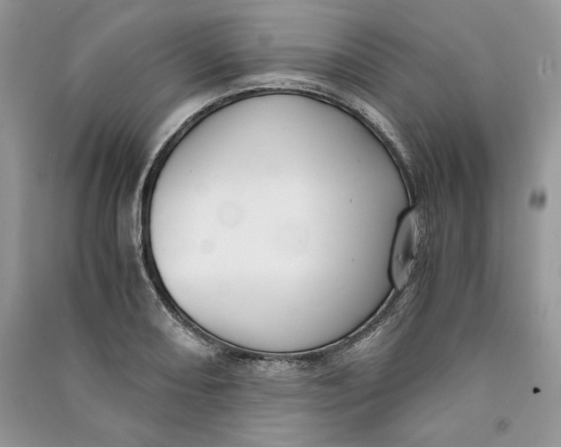 X0000090701082200708101436