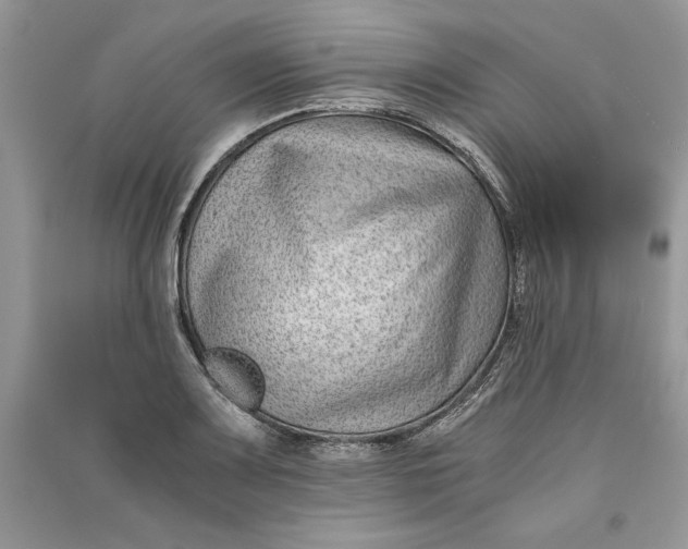 X0000090701083200708101436
