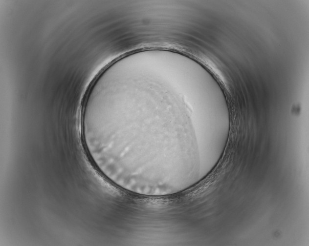 X0000090701084200708101436