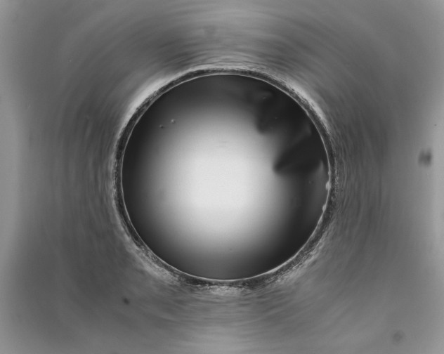 X0000090701085200708101436