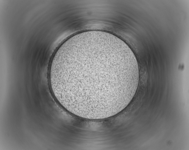 X0000090701086200708101436
