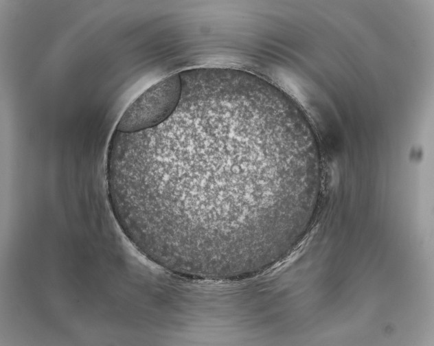 X0000090701087200708101436